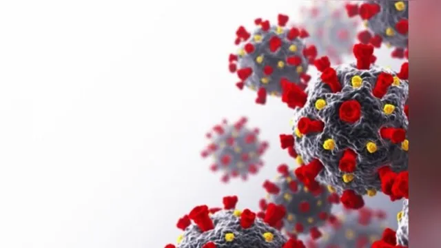 Imagem ilustrativa da notícia França registra quatro casos da variante brasileira do coronavírus