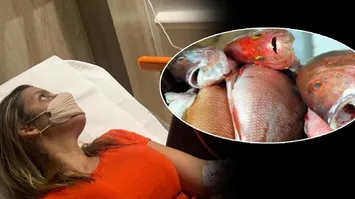 Flávia internada após consumir o peixe Arabaiana.