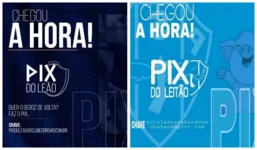 Imagem ilustrativa da notícia 'Rifa de leitão' no Paysandu viraliza após o 'PIX do Leão' e até CBF é envolvida no caso