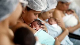 Imagem ilustrativa da notícia Santa Casa do Pará registra crescimento em partos normais