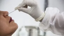 Imagem ilustrativa da notícia Coinfecção: cientistas identificam casos de pacientes com duas variantes de covid-19 ao mesmo tempo