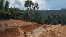 Imagem ilustrativa da notícia Pará é o estado que tem mais áreas protegidas que sofrem pressão e ameaça de desmatamento na Amazônia