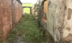 O suspeito do crime contra a criança continua foragido. Qualquer informação sobre o seu paradeiro pode ser denunciado de forma anônima para a polícia.