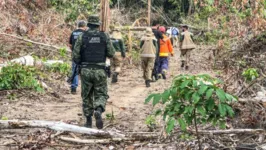 Imagem ilustrativa da notícia Operação fecha 23 garimpos clandestinos no Pará