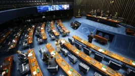 O texto-base da PEC foi aprovado por 62 senadores e teve 16 votos contrários no primeiro turno.  Após a aprovação em segundo turno, a PEC segue para análise da Câmara dos Deputados.