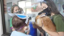Imagem ilustrativa da notícia 'Coelhinho da Páscoa' visita crianças em hospital no Pará