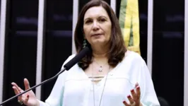 Bia Kicis (foto) acredita que voto impresso é mais "auditável"