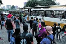 A pesquisa mostra que as mortes por covid reduzem curva da longevidade da população