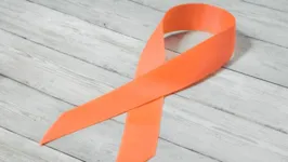 Imagem ilustrativa da notícia Leucemia pode ser confundida com outras doenças; diagnóstico precoce é fundamental
