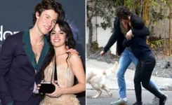 Imagem ilustrativa da notícia Bandidos invadem casa de Cabello e Shawn Mendes