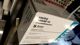 Insumos serão suficientes para produzir 12 milhões de doses de vacina Oxford/AstraZeneca, usada na imunização da covid-19. 