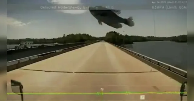 Imagem ilustrativa da notícia Vídeo: peixe voador intriga ao cair na frente de caminhão