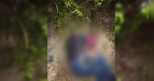 Imagem ilustrativa da notícia Corpo de jovem é encontrado em área de matagal em Santarém