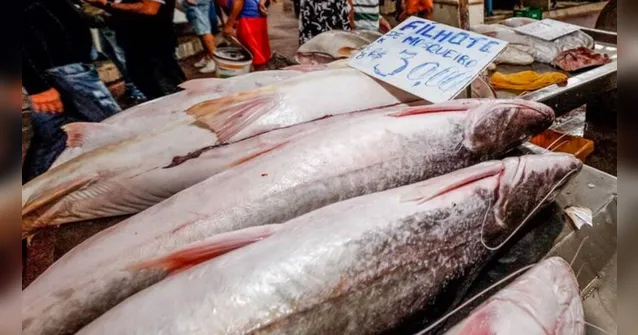 Imagem ilustrativa da notícia Feira do Pescado funciona com delivery na Semana Santa