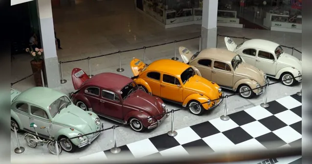 Imagem ilustrativa da notícia Exposição para apaixonados por Fusca é aberta
