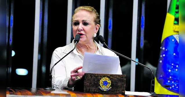 Imagem ilustrativa da notícia Projeto de lei de Elcione que atende vítimas de violência doméstica é aprovado