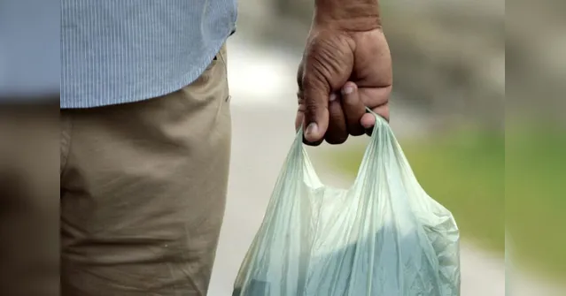 Imagem ilustrativa da notícia PGE notifica associação de supermercados por uso indevido de marca em sacolas plásticas