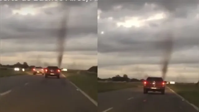 Imagem ilustrativa da notícia 'Tornados' de mosquitos gera pânico em estrada; veja o vídeo!
