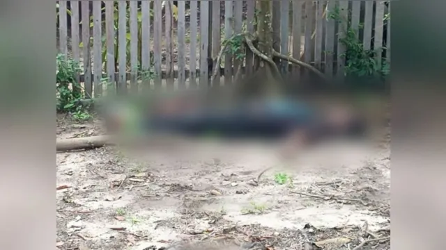 Imagem ilustrativa da notícia Homem é morto a pauladas e facadas durante briga por drogas em Santarém