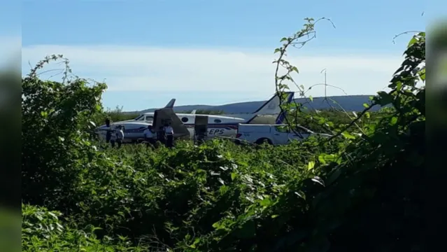 Imagem ilustrativa da notícia Avião com vacinas da Covid-19 bate em jumento durante pouso na Bahia