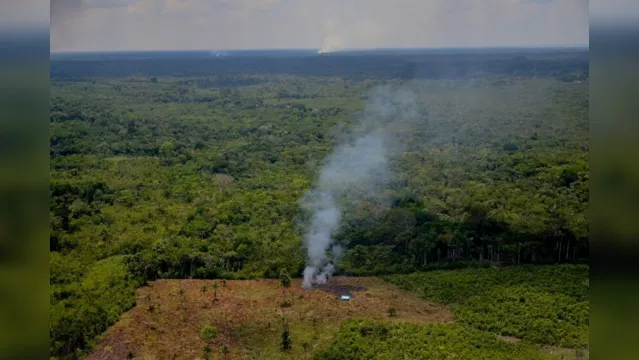Imagem ilustrativa da notícia Incêndios têm expandido as savanas no meio da Amazônia