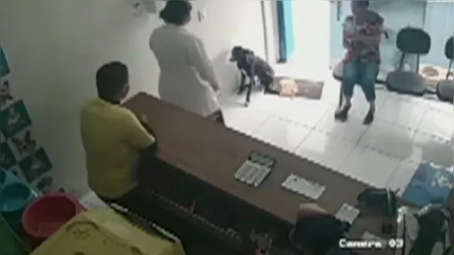 Imagem ilustrativa da notícia Cachorro de rua machucado entra em clínica veterinária e “pede” atendimento. Veja o vídeo! 