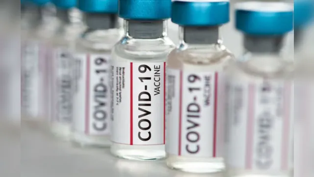 Imagem ilustrativa da notícia Estudo aponta eficácia de uma dose da vacina em quem já teve covid-19