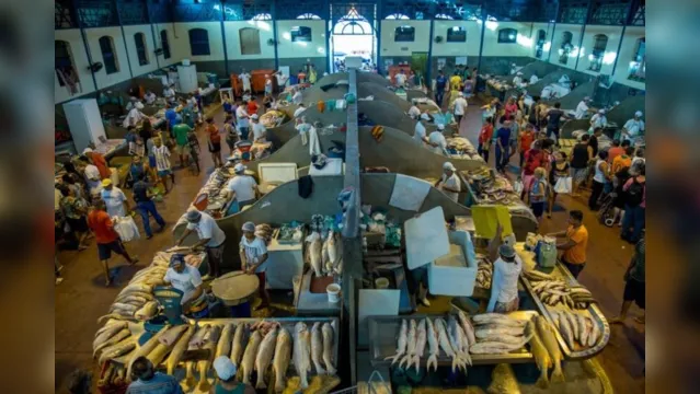 Imagem ilustrativa da notícia Abastecimento de peixe será garantido com venda em drive thru e delivery 