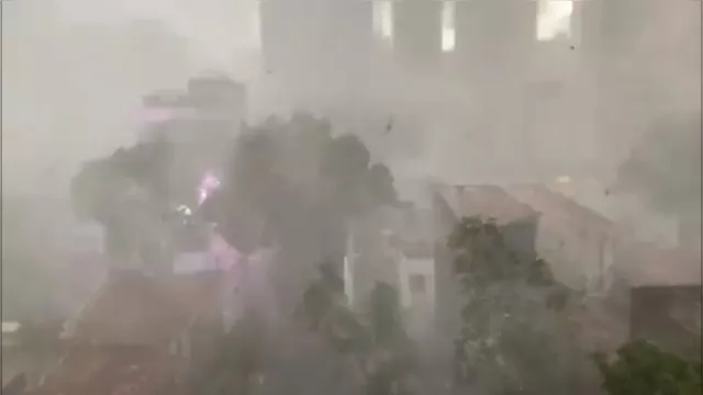 Imagem ilustrativa da notícia Vídeo: raio atinge mangueira no centro de Belém
