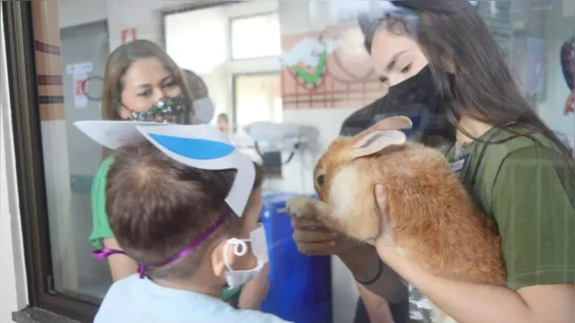 Imagem ilustrativa da notícia 'Coelhinho da Páscoa' visita crianças em hospital no Pará