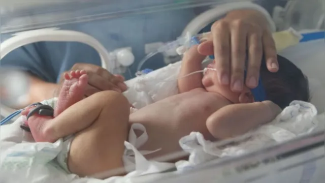 Imagem ilustrativa da notícia Mortes de bebês por covid-19 no Brasil intriga cientistas