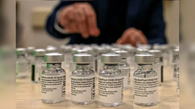 Imagem ilustrativa da notícia Brasil receberá mais de um milhão de doses vacinas da Covax Facility