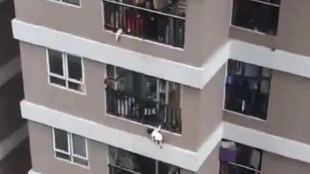 Imagem ilustrativa da notícia Criança cai de 12°andar de prédio e é salva por entregador; veja o vídeo!