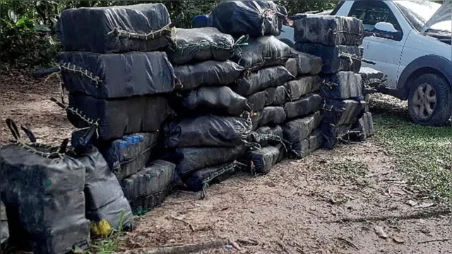 Imagem ilustrativa da notícia Mais de uma tonelada de drogas é apreendida no município de Bujaru