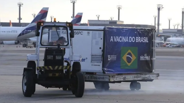Imagem ilustrativa da notícia  Vacina brasileira: Butantan anuncia imunizante 100% nacional