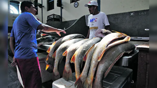 Imagem ilustrativa da notícia Feira do Pescado se destaca com serviço de entrega