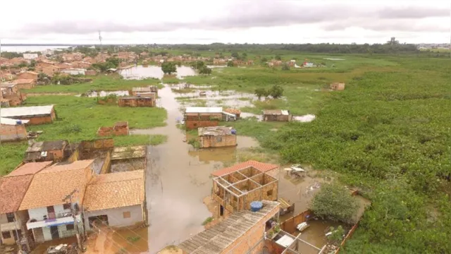Imagem ilustrativa da notícia Famílias atingidas por enchentes vão receber cestas básicas em Marabá