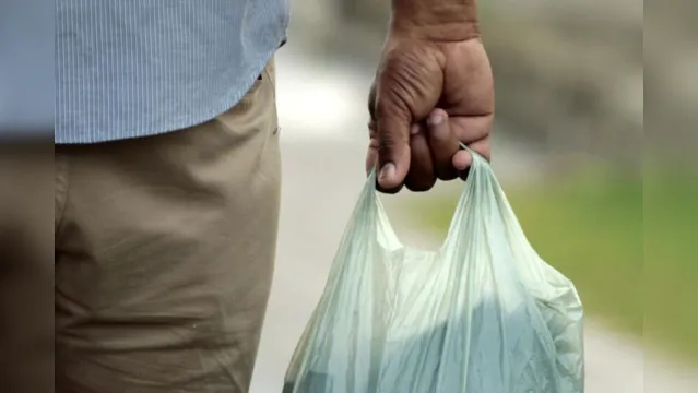 Imagem ilustrativa da notícia PGE notifica associação de supermercados por uso indevido de marca em sacolas plásticas