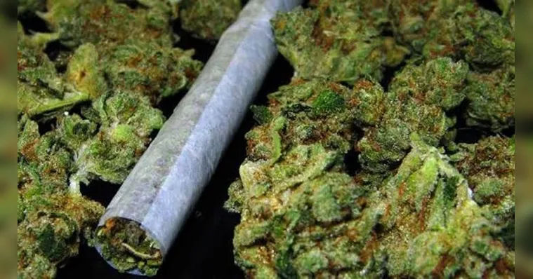 Imagem ilustrativa da notícia Uso recreativo da maconha é legalizado em Nova York