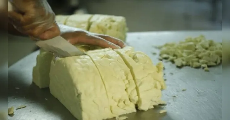 Imagem ilustrativa da notícia Queijo do Marajó é certificado em qualidade e procedência