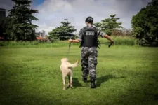 Imagem ilustrativa da notícia Pará recebe primeira maternidade canina da PM 