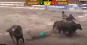TV Vaquejada mostra o momento exato em que Tanda cai do cavalo e é atacado pelo boi