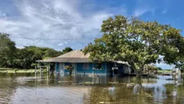 Muitas famílias já abandonaram as suas casas.