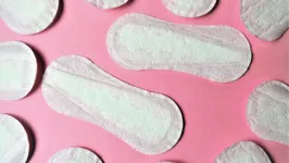 Imagem ilustrativa da notícia Pobreza menstrual: campanha arrecada absorventes para doação