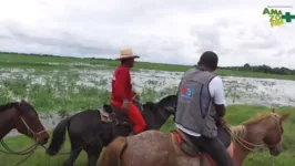 O Agroamazônia entra na programação da RBA TV mostrando a expansão do setor