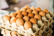 Com mais de 50 nutrientes, o ovo fornece proteínas, aminoácidos, lipídeos, minerais, além de boa parte das vitaminas de que o nosso corpo necessita