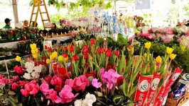 A feira, que terá duração de 13 dias, reunirá mais de 200 espécies de flores e plantas ornamentais.