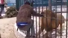 Leão atacando homem em zoológico