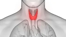 Imagem ilustrativa da notícia Câncer da tireoide ataca mais mulheres; saiba como prevenir