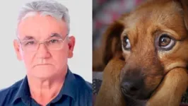 Vereador diz que "cachorro na rua tem que matar no tiro, no cacete".